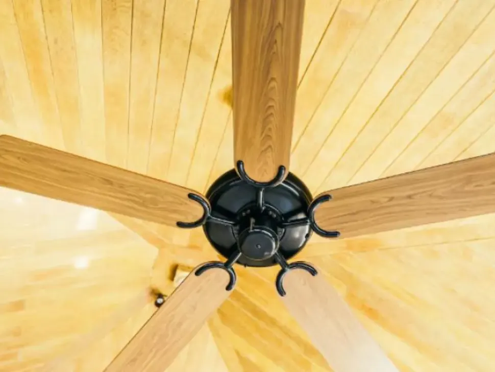 Timber five-blade ceiling fan seen from below