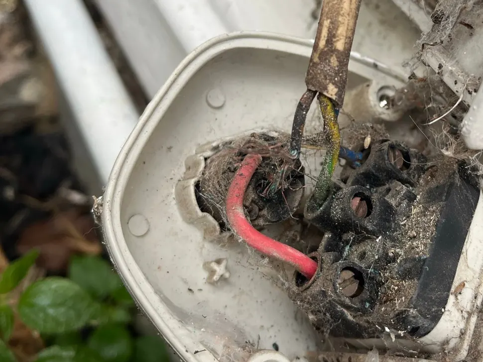 Weathered outdoor fitting hanging open with dusty, damaged terminals and cobwebbed cable ends