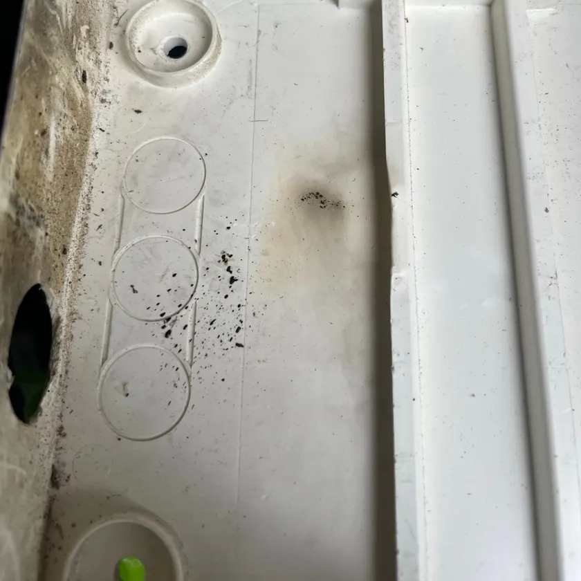 Scorched removed enclosure with an earth bar lying on the ground